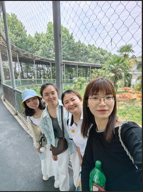 微信截圖_20250528095548