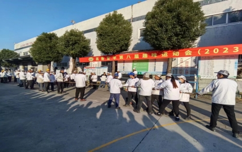 嘉善向日葵视频色版（fēng）第（dì）八屆趣味運動會